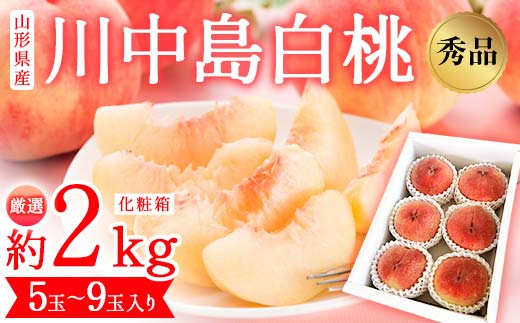 山形県産 厳選 川中島白桃 秀品 約2kg 化粧箱 (5玉〜9玉入り) 《先行予約 2026年度8月発送開始》 FSY-2493山形県13000果物・フルーツもも・すもも