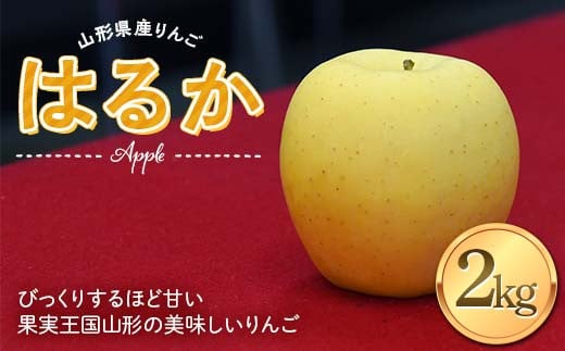 《2025年度発送》 りんご はるか 2kg(5〜8玉) 秀品 果物 フルーツ FSY-1391山形県14000果物・フルーツりんご・梨