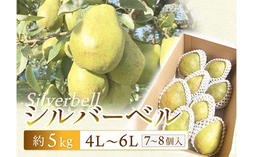 【令和7年先行受付】シルバーベル 約5kg(7〜8個) ラ・フランス 梨 洋梨 果物 フルーツ FSY-2092山形県18000果物・フルーツりんご・梨