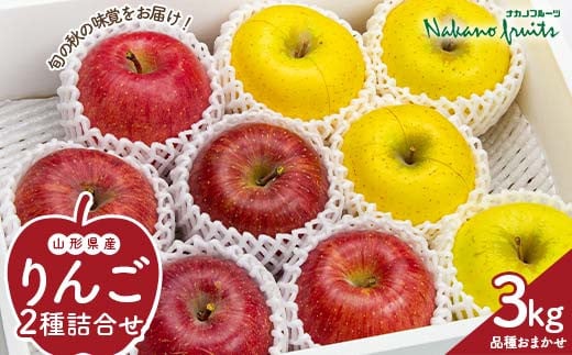 【仲野観光果樹園】≪2025年先行予約≫ 贈答用 山形県産 りんご 品種おまかせ 2種詰合せ 秀品 3kg(8〜11玉) 2025年10月中旬から順次発送 F2Y-6122山形県14000果物・フルーツりんご・梨