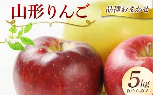 山形県産 りんご 約5kg(約12〜18玉) 品種おまかせ(赤色と黄色もおまかせ) フルーツ 果物 FSY-2423山形県22000果物・フルーツりんご・梨