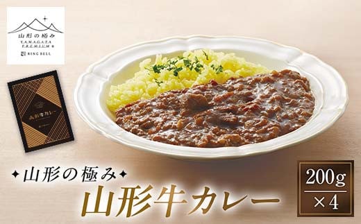 【山形の極み】山形牛カレー 200g×4 F2Y-6061山形県15000鍋セット・総菜・加工食品総菜