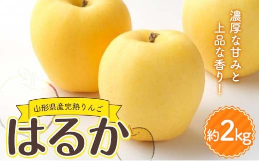 山形県産 厳選完熟りんご 『はるか』有袋栽培 秀品以上 約2kg化粧箱(5〜10玉入り)《先行受付2025年度12月発送》 FSY-2183山形県15000果物・フルーツりんご・梨
