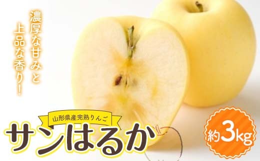 山形県産 厳選完熟りんご 『サンはるか』(無袋栽培) 秀品 約3kg化粧箱(7〜12玉入り)《先行受付2025年度12月発送》 FSY-2184山形県17000果物・フルーツりんご・梨