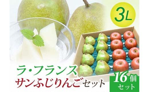【令和7年先行受付】ラ・フランス 3Lサイズ 8個 & サンふじりんご 8個セット 梨 洋梨 果物 フルーツ FSY-2098山形県25000果物・フルーツその他 果物・フルーツ