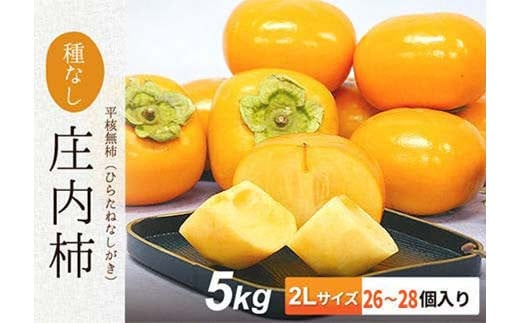 yߘa7Nstz` lYq 2LTCY 5kg(26`28) ʕ t[c FSY-2103R`18000ʕEt[c̑ ʕEt[c