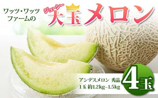 s2026N s\t bcEbcEt@[̃W[V[ʃ 4 ʕ t[c FSY-2378R`22000ʕEt[cEXCJ