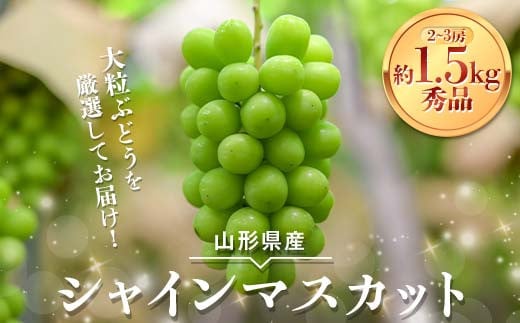 2026Ns\yB_zR`Y 嗱Ԃǂ VC}XJbg 1.5kgi2`3[j Gi 2026N9{珇 F2Y-6147R`16000ʕEt[c}XJbgEԂǂ