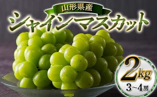 ≪2026年先行予約≫【本田農園】山形県産 大粒ぶどう シャインマスカット 約2kg(3〜4 房) 秀品 2026年9月中旬から順次発送 F2Y-6148山形県22000果物・フルーツマスカット・ぶどう