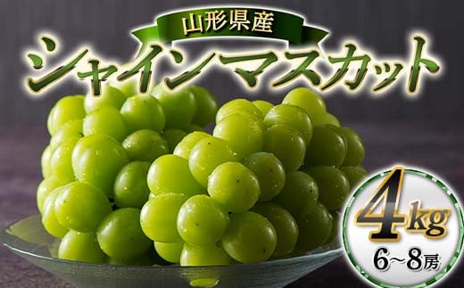 ≪2026年先行予約≫【本田農園】山形県産 大粒ぶどう シャインマスカット 約4kg(6〜8 房) 秀品 2026年9月中旬から順次発送 F2Y-6149山形県43000果物・フルーツマスカット・ぶどう