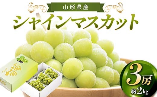 【先行予約 2026年度発送】山形県産 シャインマスカット 3房 約2kg  マスカット ぶどう ブドウ 葡萄 デザート フルーツ 果物 くだもの 果実 食品 山形県 FSY-2185山形県32000果物・フルーツマスカ