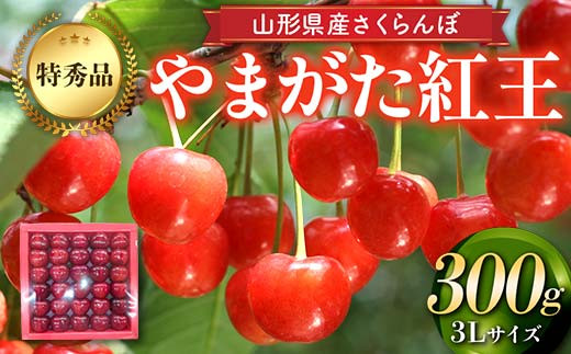 ys\ 2026NxzR`Y ځi܂gjGi 3LTCY300g fU[g t[c ʕ  ʎ Hi R` FSY-2186R`36000ʕEt[c