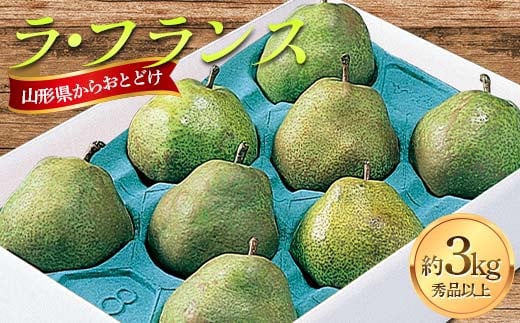 山形県産 ラ・フランス 約3kg FSY-2240山形県14000果物・フルーツりんご・梨
