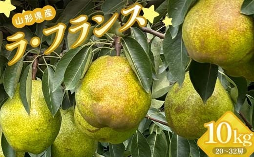 山形県産 ラ・フランス 秀 10kg(5kg×2)20〜32玉 FSY-2255山形県17000果物・フルーツりんご・梨