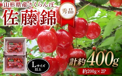 令和8年産【先行受付】山形県産さくらんぼ<佐藤錦 秀品>400g(200g×2P) Lサイズ以上 FSY-2276山形県10000果物・フルーツさくらんぼ