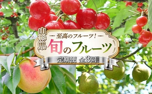 令和8年6月発送開始 山形県 至高のフルーツ! 山形県旬のフルーツ定期便 全3回 FSY-2279山形県34000果物・フルーツさくらんぼ