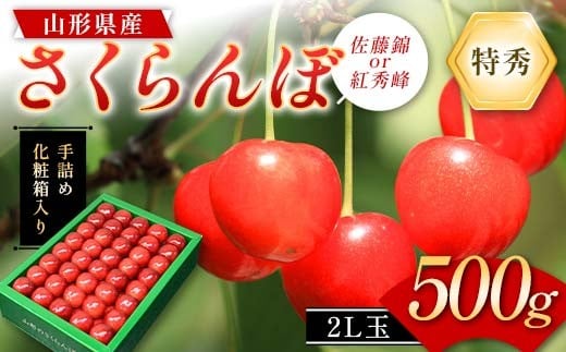 (orgG) 500g 2L G l߃Mtg R`Y ϔ yߘa8Nx s\z FSY-2262R`31000ʕEt[c
