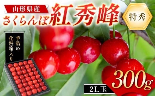 さくらんぼ 紅秀峰300g 2L玉 特秀 手詰めギフト 山形県産 化粧箱入り 【令和8年度 先行予約】 FSY-2264山形県24000果物・フルーツさくらんぼ