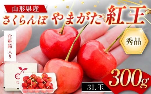 さくらんぼ やまがた紅王 300g 3L玉 大粒 バラ詰め 秀品 山形県産 化粧箱入り 【令和8年度 先行予約】 FSY-2267山形県18000果物・フルーツさくらんぼ