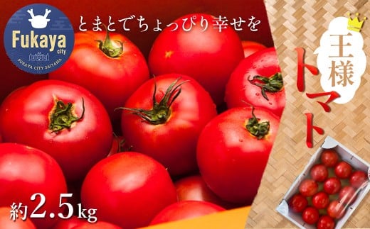 王様トマト 約2.5kg 【11218-0713】埼玉県深谷市10000野菜・きのこトマト