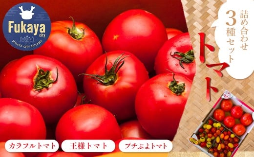 トマト詰め合わせ3点セット 【11218-0714】埼玉県深谷市14000野菜・きのこトマト