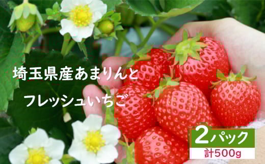 <先行受付>安藤農園 埼玉県産あまりんとフレッシュいちご 各1パック(計500g) 【11218-0711】埼玉県深谷市12000果物・フルーツいちご