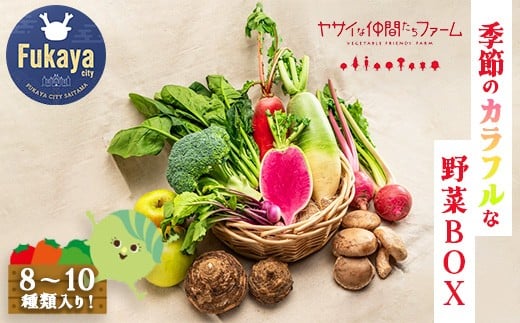 季節のカラフルなヤサイBOX(8〜10種類) 【11218-0770】埼玉県深谷市10000野菜・きのこその他 野菜