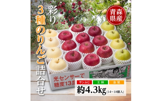 りんご/青森県産 彩り3種のりんご詰合せ 約4.3kg【1655312】青森県22000果物・フルーツりんご・梨