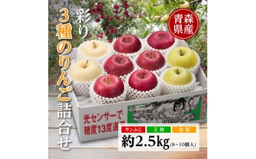 りんご/青森県産 彩り3種のりんご詰合せ 約2.5kg【1655314】青森県17000果物・フルーツりんご・梨
