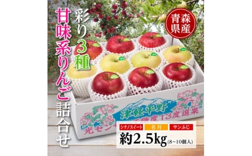 りんご/青森県産 彩り3種甘味系りんご詰合せ(高糖度)約2.5kg【1655319】青森県17000果物・フルーツりんご・梨