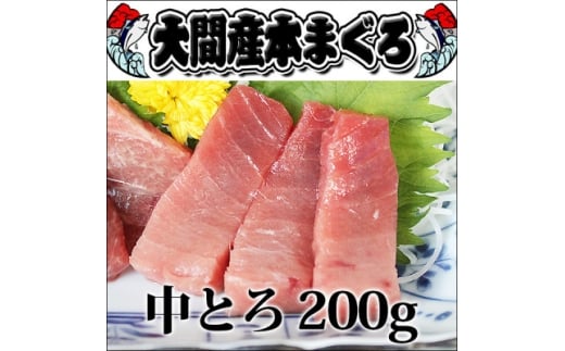 ԎY{}O g 200gO(2lO)y1657763zX28000ECYN