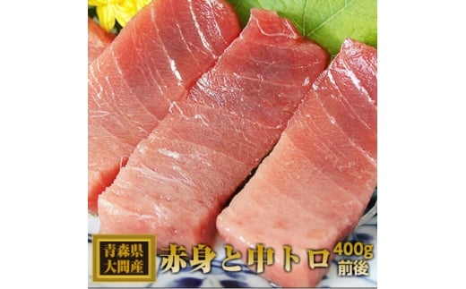 ԎY{}O ԐgƒgZbg e200gO(v400gO)y1657765zX46000ECYN