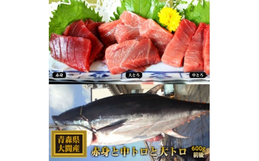 大間産本マグロ 3種セット(大トロ・中トロ・赤身) 合計600g前後【1657767】青森県76000魚介・海産物鮮魚