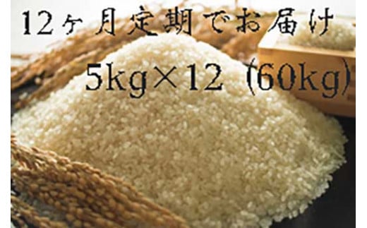 定期便 福岡県大川市産ヒノヒカリ(2024年秋収穫のお米)5kg×12回 定期コース(全12回のお届け) | 米 お米 こめ 白米 精米 60キロ 食品 ライス 令和6年 美味しい おいしい ご飯 ごはん 人気 お