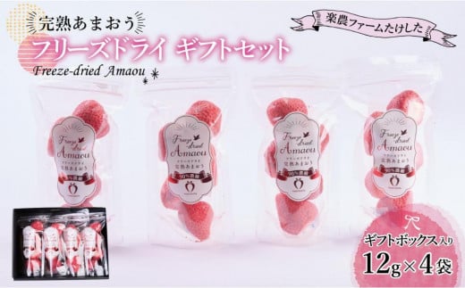 形も味もそのまま楽しめる!完熟あまおう【フリーズドライギフトセット】 (12g×4袋)【あまおう 食品 あまおう フルーツ あまおう 果物 苺くだもの いちご 食品 イチゴ 人気 あまおう おすす