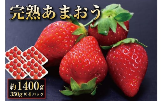 【12月中旬以降出荷予定】完熟 あまおう イチゴ 350g×4パック(約1400g)<配送不可:北海道、沖縄県、離島>福岡県大川市18000果物・フルーツいちご
