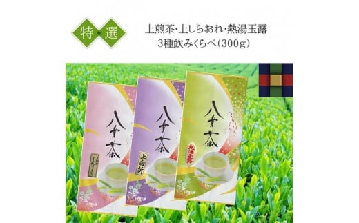 「BASIC3種飲みくらべ」八女茶特選セット300g福岡県大川市13000お茶・飲料お茶