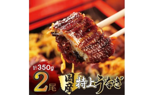 国産 うなぎ蒲焼 2尾 約350g福岡県大川市13000魚介・海産物うなぎ