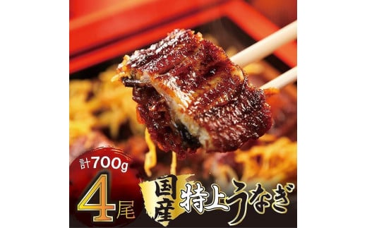 国産うなぎ蒲焼 4尾 約700g福岡県大川市25000魚介・海産物うなぎ