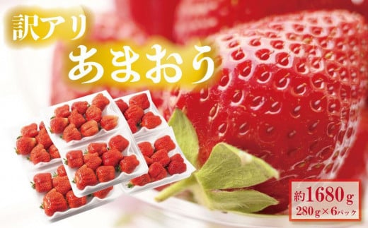 y2026N4oח\z󂠂 ܂ 280g×6pbN(1680g)zsFkCAꌧAs10000ʕEt[c
