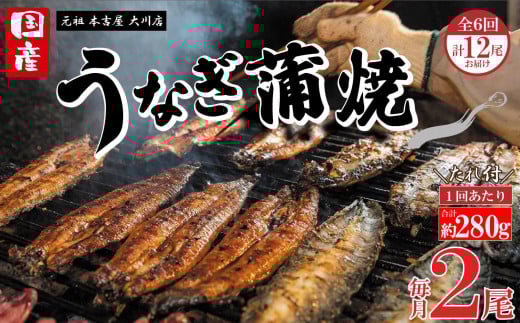 【全6回定期便】元祖 本吉屋 大川店 老舗のうなぎ蒲焼き  2尾 × 3回 (合計12尾)福岡県大川市144000魚介・海産物うなぎ
