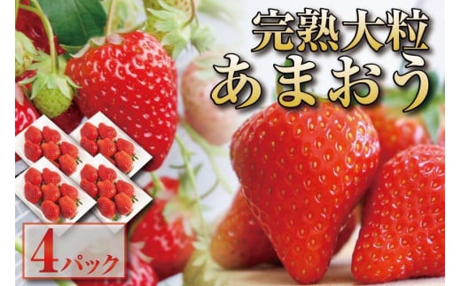 y12{ȍ~oח\zn 嗱 ܂ C`S 280g×4pbN(1120g)zsFkCAꌧAs13500ʕEt[c
