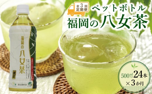 【全3回毎月定期便】八女茶 煎茶ペットボトル 500ml×24本福岡県大川市32500お茶・飲料お茶