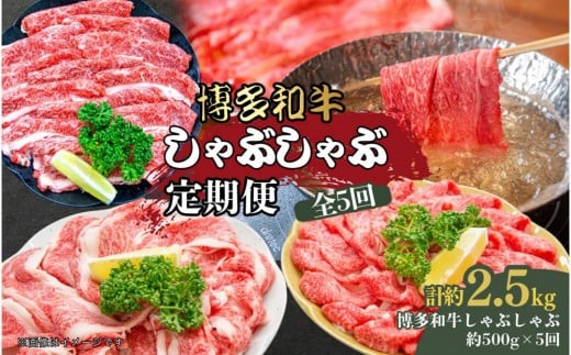 博多和牛 しゃぶしゃぶ 定期便全5回(約500g×5回)福岡県大川市49500肉牛肉