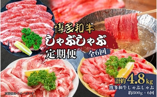博多和牛 しゃぶしゃぶ 定期便全6回(約800g×6回)福岡県大川市96500肉牛肉