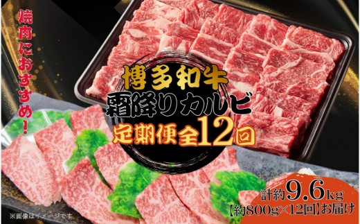 博多和牛 霜降りカルビ 全12回定期便 約800g×12回福岡県大川市193000肉牛肉