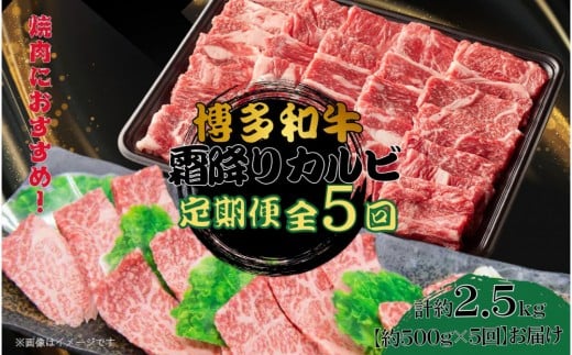 博多和牛 霜降りカルビ 全5回定期便 約500g×5回福岡県大川市49500肉牛肉