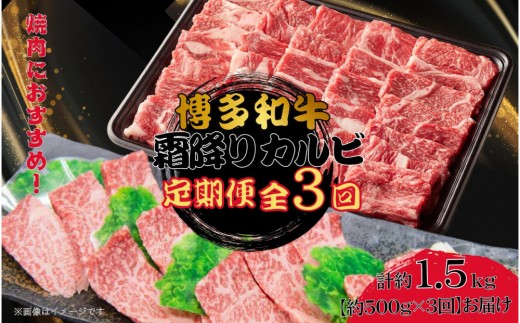 博多和牛 霜降りカルビ 全3回定期便 約500g×3回福岡県大川市29500肉牛肉