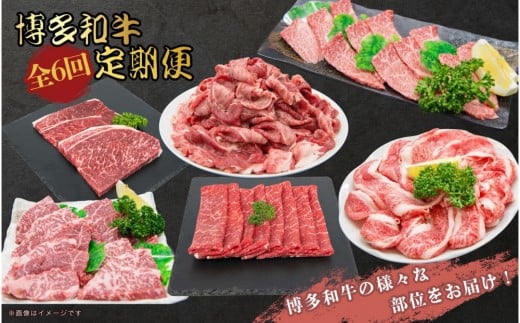 博多和牛 厳選定期便全6回福岡県大川市96500肉牛肉