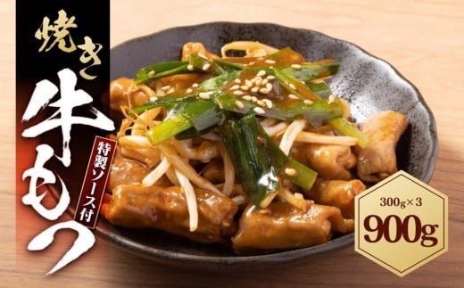 Ă 900g ( 300g×3pbN )s9000